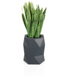 Donica geometryczna Modena ANTRACYT | 46x54 cm