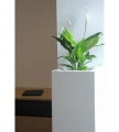 donica-kompozytowa-biala-salon3-.webp
