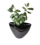 Donica owalna 56/76 cm z włókna szklanego Owal