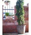 donica-z-kamionki-sicilia-ogrod.webp