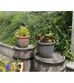 donica-z-kamionki-sicilia-ogrod2.webp