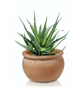 Donica misa z terakoty 38/50 cm Tuscan