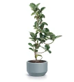 donica-duza-plastikowa-39cm.webp