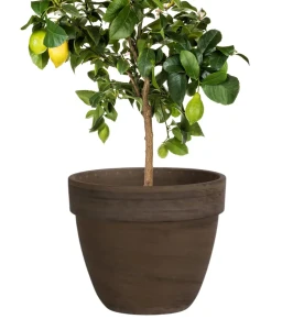 Donica z terakoty classic 35 cm BASALT | 35x29 cm