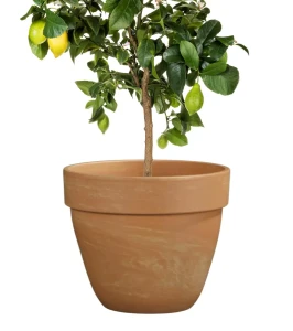 Donica z terakoty classic 35 cm Marmur | 35x29 cm