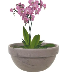 Donica z terakoty misa 35 cm Basalt | 35x16 cm