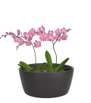 Donica ceramiczna misa 28 cm antracyt