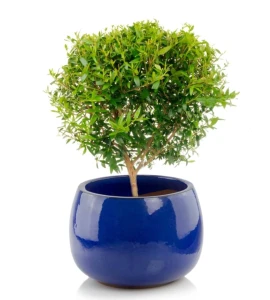 Donica ceramiczna szkliwiona okrągła 33 cm NIEBIESKA | 33x23 cm