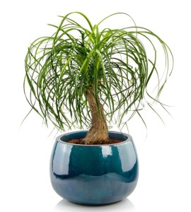 Donica ceramiczna ogrodowa okrągła 33 cm TURKUSOWA | 33x23 cm