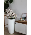 donica-cygaro-68cm-biala-wysoka-salon1.webp