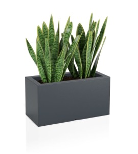 Donica prostokątna 75cm Lungo ANTRACYT | 75x38 cm