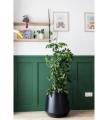 wymiary-donica-wysoka-antracytowa-plastikowa-salon1.webp