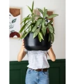 donica-duza-antracytowa-plastikowa-salon.webp