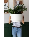 donica-biala-plastikowa-salon.webp