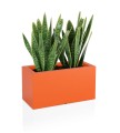 donica-prostokatna-lungo-pomaranczowa.jpg