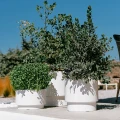 Heos_DBHEN_DLHEN_DBHER_S449_aranz_01.webp