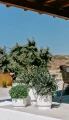 Heos_DBHEN_DLHEN_DBHER_S449_aranz_04.webp