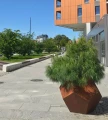 donica-ze-stali-corten-geometryczna-ogrod.webp