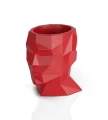 donica-geometryczna-glowa-adonis-czerwona.webp