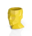 donica-geometryczna-glowa-adonis-zolta.webp