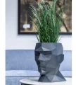 donica-na-taras-glowa-adonis.webp