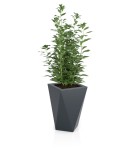 Donica wysoka 60cm Vaso ANTRACYT | 40x60 cm