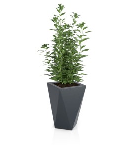 Donica wysoka 60cm Vaso ANTRACYT | 40x60 cm