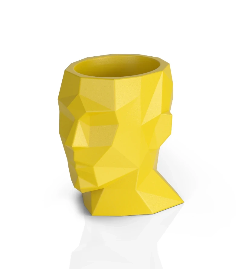 donica-geometryczna-glowa-adonis-zolta.webp
