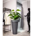 wysoka-donica-plastikowa-do-salonu.webp