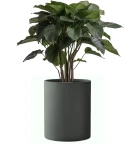 Donica okrągła antracyt z włókna szklanego| 50x80cm