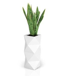 Biała wysoka donica designerska Asti | 78cm