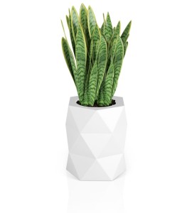 Donica geometryczna Modena BIAŁA | 46x54 cm