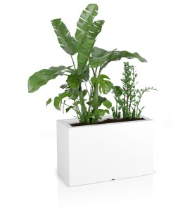 Donica prostokątna 80cm Lungo Maxi BIAŁA | 80x50 cm