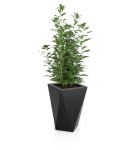 Donica ogrodowa 60cm Vaso CZARNA | 40x60 cm