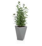 Donica geometryczna 60cm Vaso SZARA | 40x60 cm