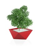 Donica geometryczna Vendetta CZERWONA | 65x65 cm