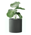 donica-okragla-50cm-antracyt-wlokno-szklane.webp