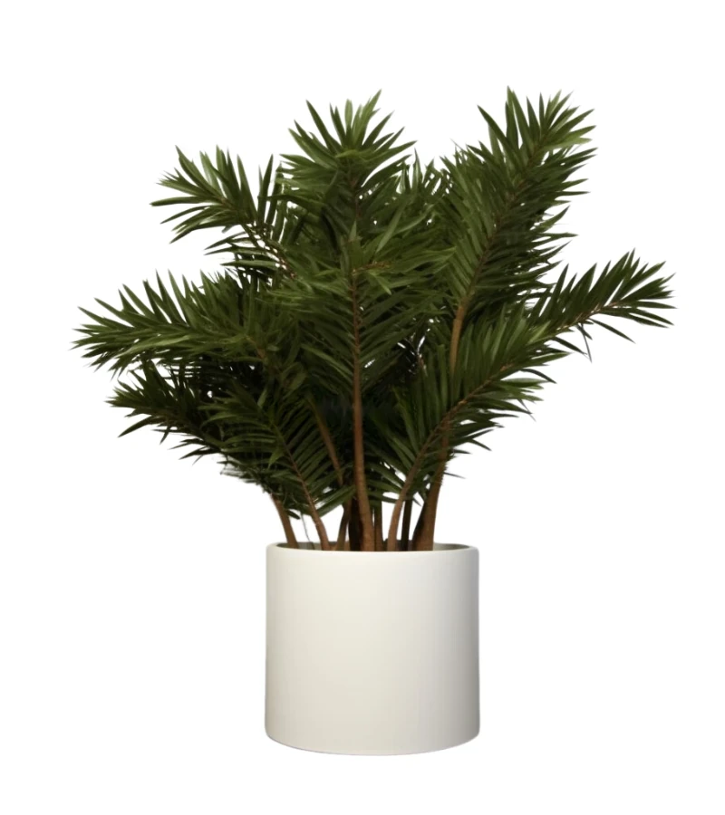 donica-okragla-duza.webp