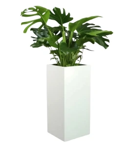 Duża biała donica 70 cm z włókna szklanego BIAŁA POŁYSK | 71x30 cm