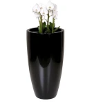 Wysoka donica 62 cm z włókna szklanego CZARNA POŁYSK | 32x62 cm