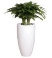 donica-wysoka-60cm-biala.webp