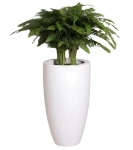 Wysoka donica 78 cm z włókna szklanego BIAŁA POŁYSK | 42x78 cm