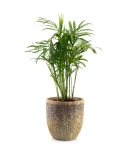 Donica ceramiczna 35 cm brązowa Atlantis | 35x34 cm