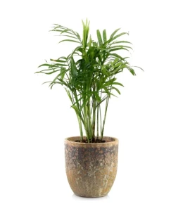 Donica ceramiczna 35 cm brązowa Atlantis | 35x34 cm