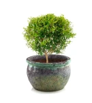 Donica ceramiczna okrągła 38 cm Atlantis | 38x25 cm