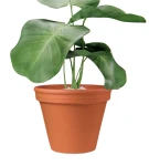 Donica z terakoty prosta 40 cm Natur | 40x32 cm