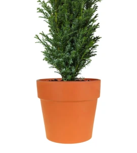 Donica z terakoty Calima 60 cm Natur | 59x50 cm