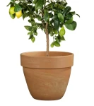 Donica z terakoty classic 38 cm Marmur | 38x32 cm