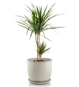 Donica ceramiczna szkliwiona okrągła 39 cm KREMOWA | 39x34 cm