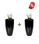 Zestaw 2 x wysoka donica 78 cm z włókna szklanego CZARNA | 42x78 cm